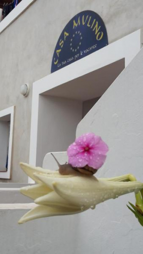 Отель Hotel Residence Il Mulino  Alicudi Porto